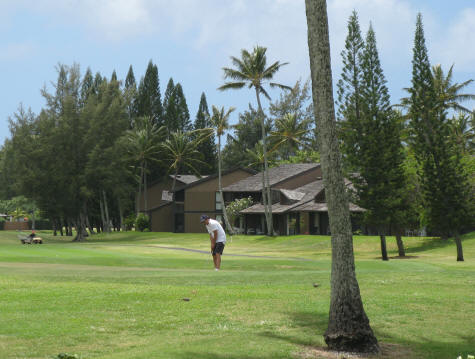 Golf Courses on the Island of Oahu in Hawaii