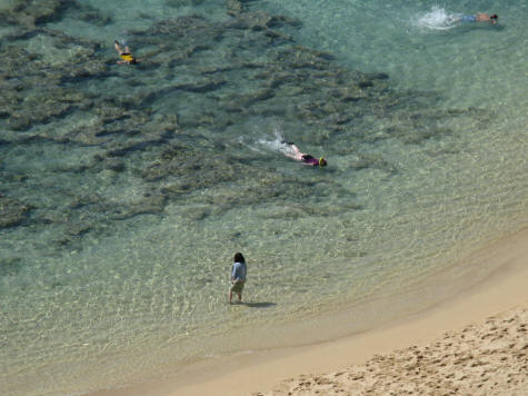 Snorkelling at Hanauma Bay on the Island of Oahu